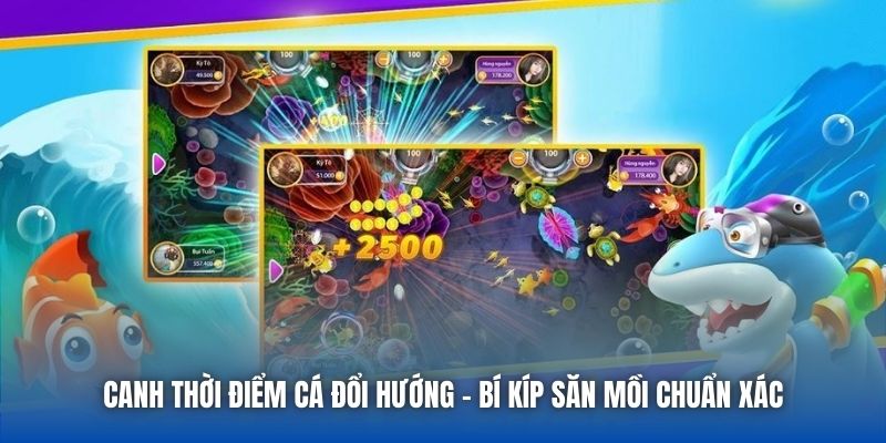 Canh Thời Điểm Cá Đổi Hướng - Bí Kíp Săn Mồi Chuẩn Xác