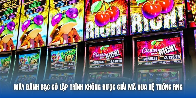Máy đánh bạc có lập trình không được giải mã qua hệ thống RNG