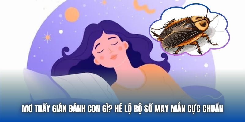 Giải mã giấc mơ thấy gián từ A đến Z