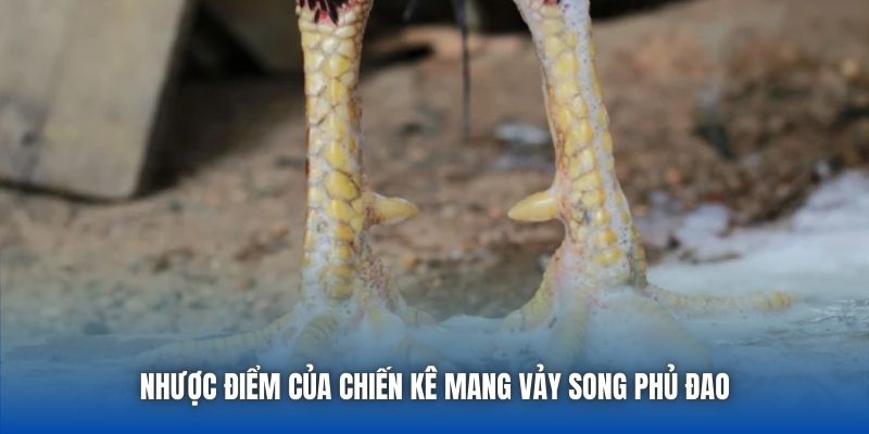 Nhược điểm của chiến kê mang vảy Song Phủ Đao