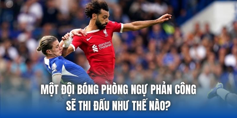 Một Đội Bóng Phòng Ngự Phản Công Sẽ Thi Đấu Như Thế Nào?