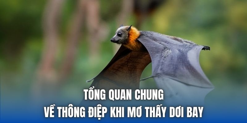 Tổng quan chung về thông điệp khi mơ thấy dơi bay